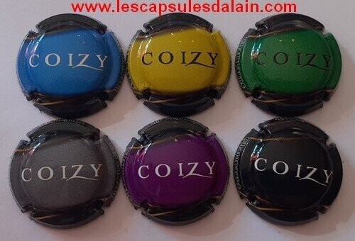 6 BELLES CAPSULES CHAMPAGNE COIZY LOGO 2021 REF N° 21 a 21e NEWS