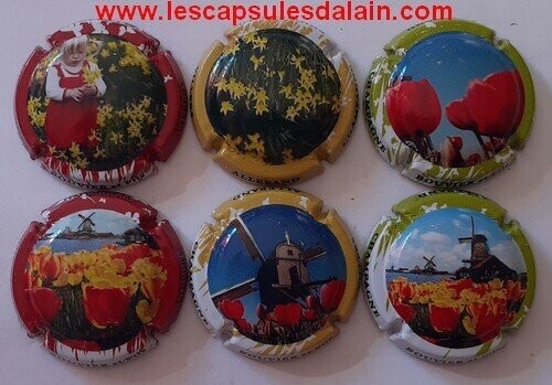 6 BELLES CAPSULES CHAMPAGNE BOUVIER ET FILS FLEURS 2021 REF N° 18 a 18e NEWS