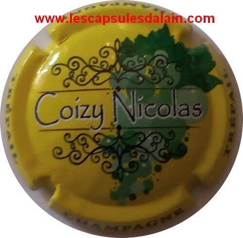 JEROBOAM CHAMPAGNE COIZY NICOLAS GRAPPES 2021 REF N°5 NEWS