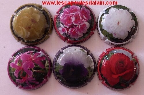 6 BELLES CAPSULES CHAMPAGNE COLLIN JEAN LES FLEURS 2021 REF N°20  a 20e NEWS