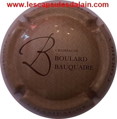 CAPSULE CHAMPAGNE BOULARD BAUQUAIRE RÉF N°29 NEWS