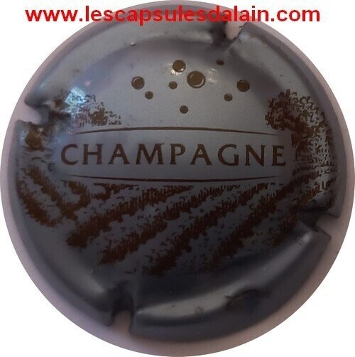CAPSULE CHAMPAGNE GENERIQUE REF N°767 NEWS