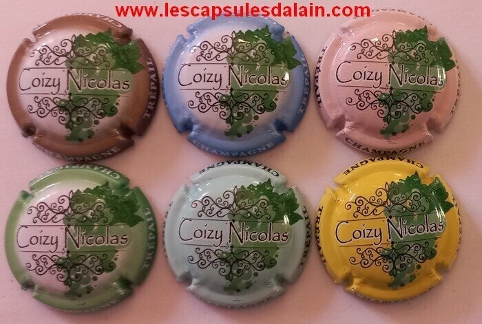 6 BELLES CAPSULES CHAMPAGNE COIZY NICOLAS LES GRAPPES 2021 REF N°4 a 4e NEWS