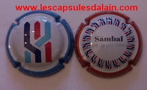 2 BELLES CAPSULES CHAMPAGNE LEJEUNE DEL'HOZANNE SAMBAL REF N°66 et 66a NEWS