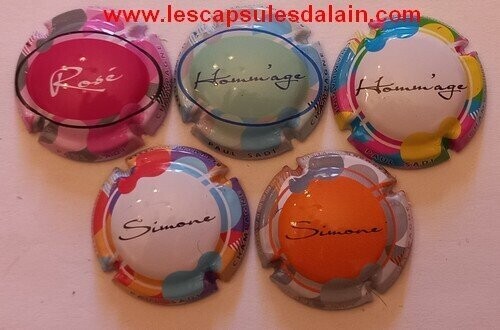 5 BELLES CAPSULES CHAMPAGNE PAUL SADI ECRITURE REF N°14 a 14d NEWS