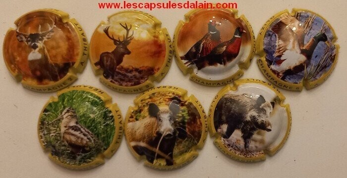 7 BELLES CAPSULES CHAMPAGNE A.THIBAUT CUVEE CHASSE NEWS