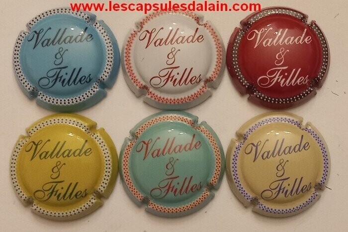 6 BELLES CAPSULES CHAMPAGNE VALLADE & FILLES ECRITURE REF N°15 a 15e NEWS