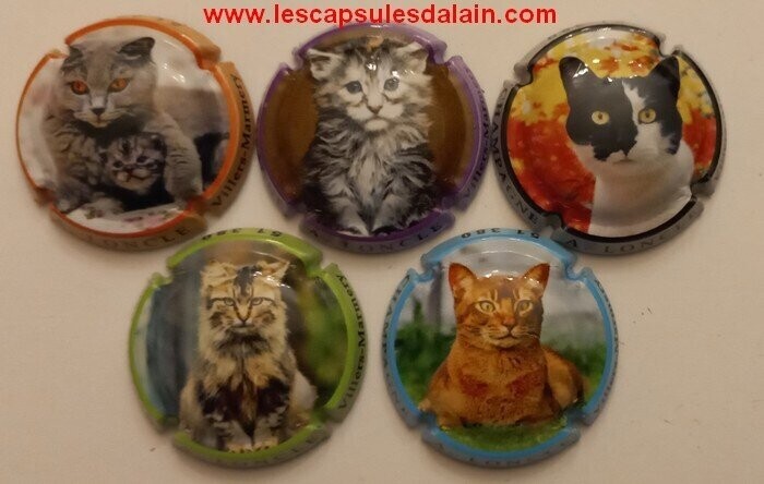 5 BELLES CAPSULES CHAMPAGNE A.LONCLE LES CHATS REF N°34 a 34e NEWS