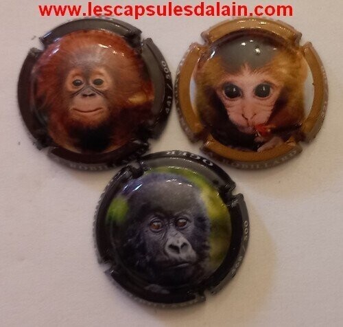 3 BELLES CAPSULES CHAMPAGNE ROBILLARD.A TETE DE SINGE 500EX NEWS