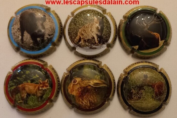 6 BELLES CAPSULES CHAMPAGNE SAMPERS JC LA CHASSE REF N°21 a 21e NEWS