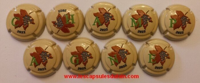 9 BELLES CAPSULES CHAMPAGNE GENERIQUE PUZZLE RELIEF 2021 REF N° C150 a C150h NEWS