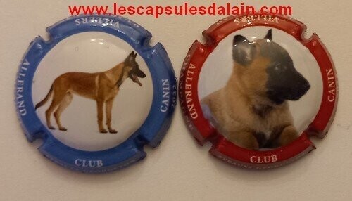 2 BELLES CAPSULES CHAMPAGNE STRAUSS GEORGETON CANIN 2022 REF N°49 et 49a NEWS