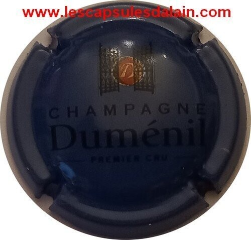 BELLE CAPSULE CHAMPAGNE DUMENIL REF N°39g NEWS
