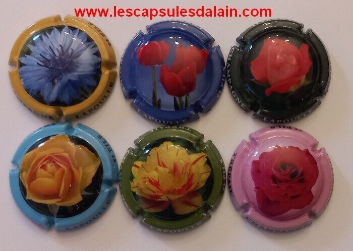 6 BELLES CAPSULES CHAMPAGNE LAPOULLE BRUNO FLEURS 2022 REF N° 13 a 13e NEWS
