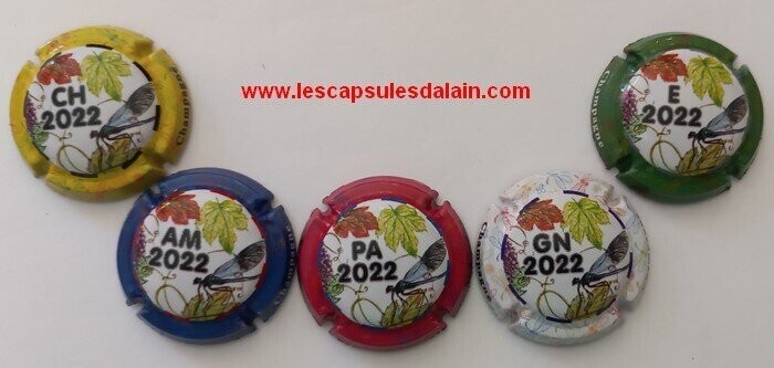 5 BELLES CAPSULES CHAMPAGNE GENERIQUE PUZZLE LIBELLULE 2022 REF N° 1197f a 1197j NEWS