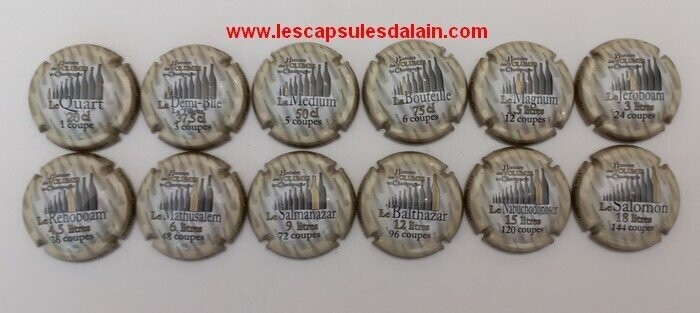 12 BELLES CAPSULES CHAMPAGNE GENERIQUE VOLUME EN CHAMPAGNE 2022 NEWS