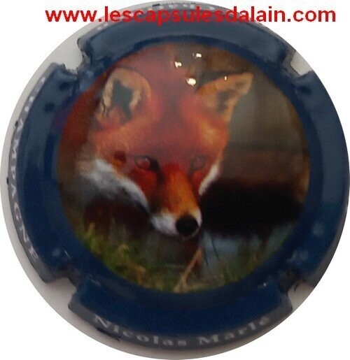 JEROBOAM CHAMPAGNE MARLE NICOLAS LE RENARD 2022 REF N°10 NEWS