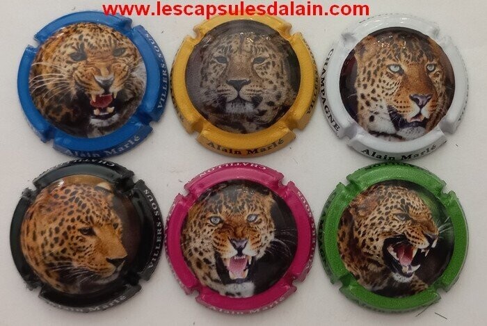6 BELLES CAPSULES CHAMPAGNE MARLE ALAIN FELIN 2022 REF N°24 a 24e NEWS