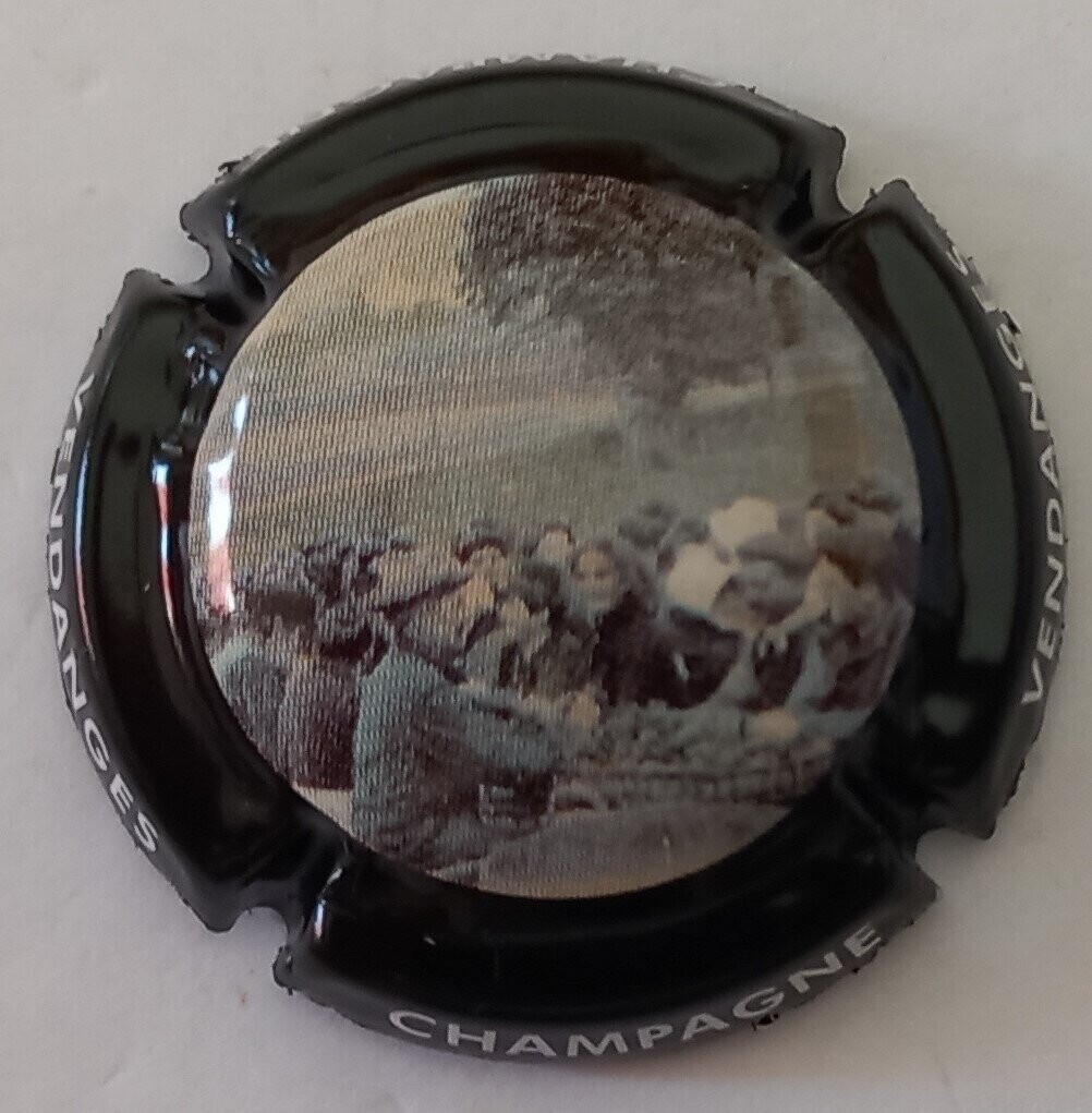 BELLE CAPSULE CHAMPAGNE GENERIQUE  REF N°741 NEWS