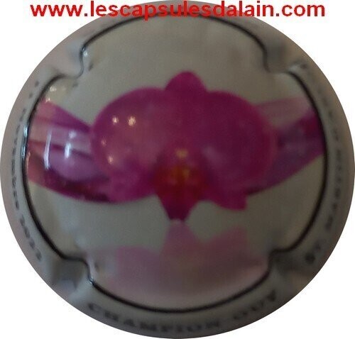 BELLE CAPSULE CHAMPAGNE CHAMPION OUY FLEUR 2022 NEWS