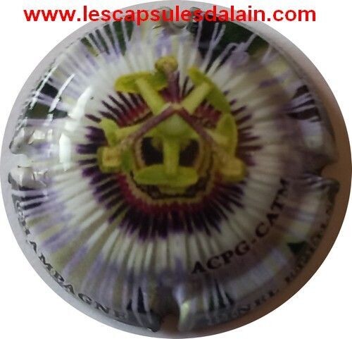 BELLE CAPSULE CHAMPAGNE PINEL ET FILS GRAND DESSIN REF N°14a NEWS