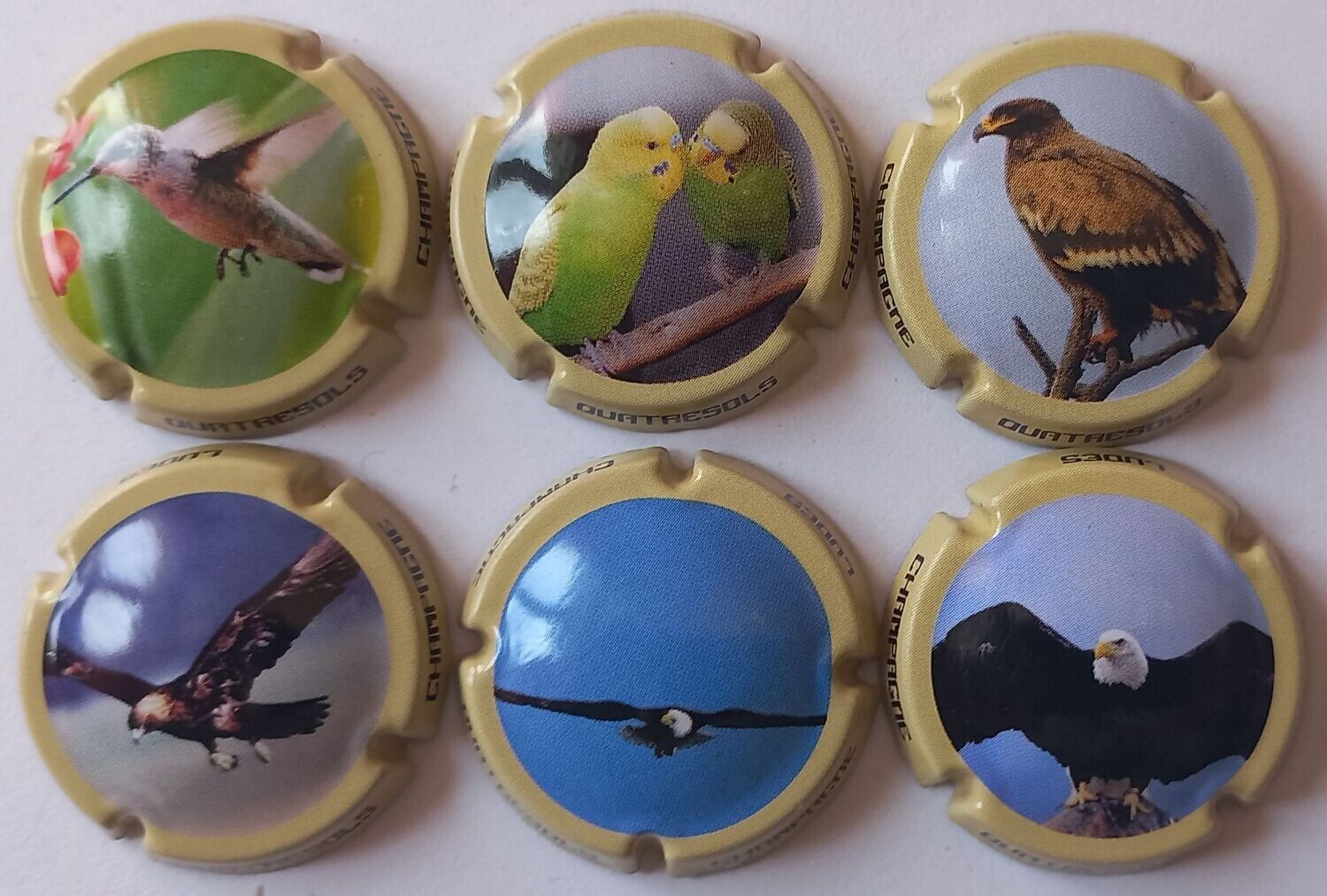6 BELLES CAPSULES CHAMPAGNE QUATRESOLS OISEAUX NEWS