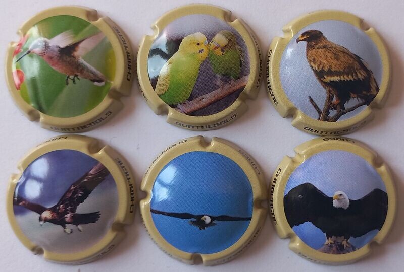 6 BELLES CAPSULES CHAMPAGNE QUATRESOLS OISEAUX NEWS