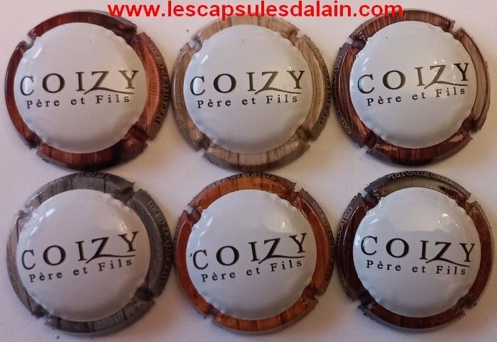 6 BELLES CAPSULES CHAMPAGNE COIZY PERE et FILS 2023 REF N° 26 a 26e NEWS