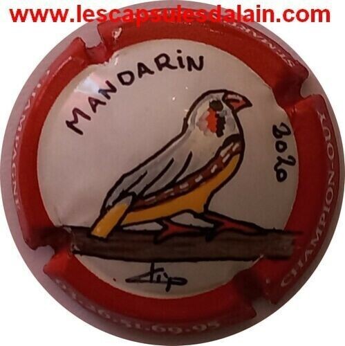 BELLE CAPSULE CHAMPAGNE CHAMPION OUY PALM MANDARIN 2020 REF N°21c NEWS