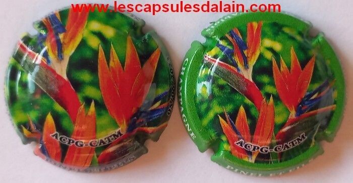 2 BELLES CAPSULES CHAMPAGNE PINEL ET FILS FLEUR 2023 NEWS