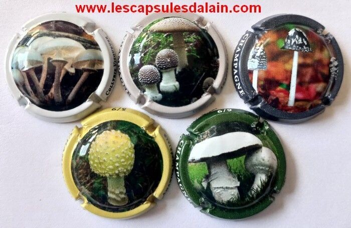 5 BELLES CAPSULES CHAMPAGNE GENERIQUE CHAMPIGNONS 2023 REF N°1342c a 1342g NEWS