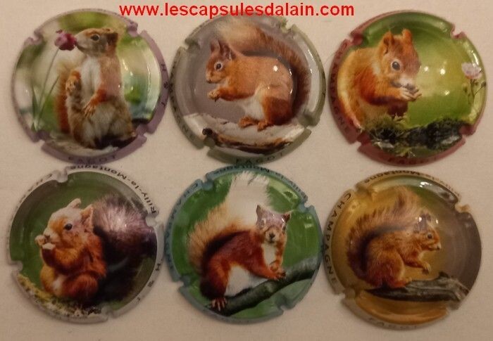 6 BELLES CAPSULES CHAMPAGNE FAGOT J & H ECUREUIL 2023 REF N°12 a 12e NEWS