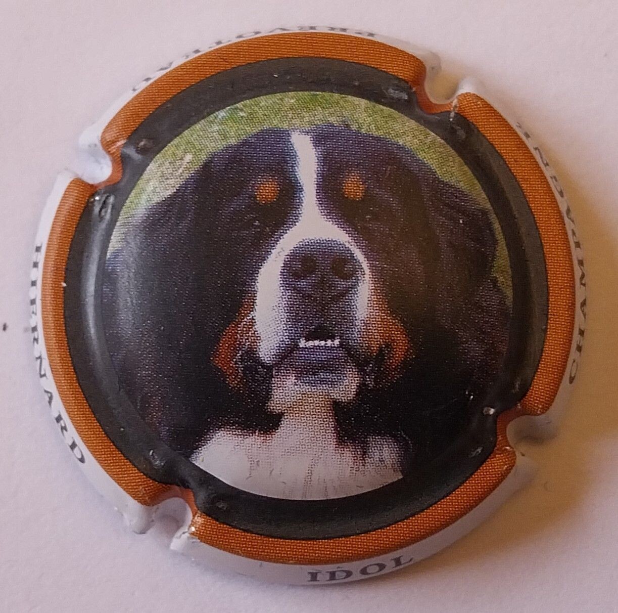 BELLE CAPSULE CHAMPAGNE PREVOTEAU HIERNARD CHIEN REF N°1d NEWS