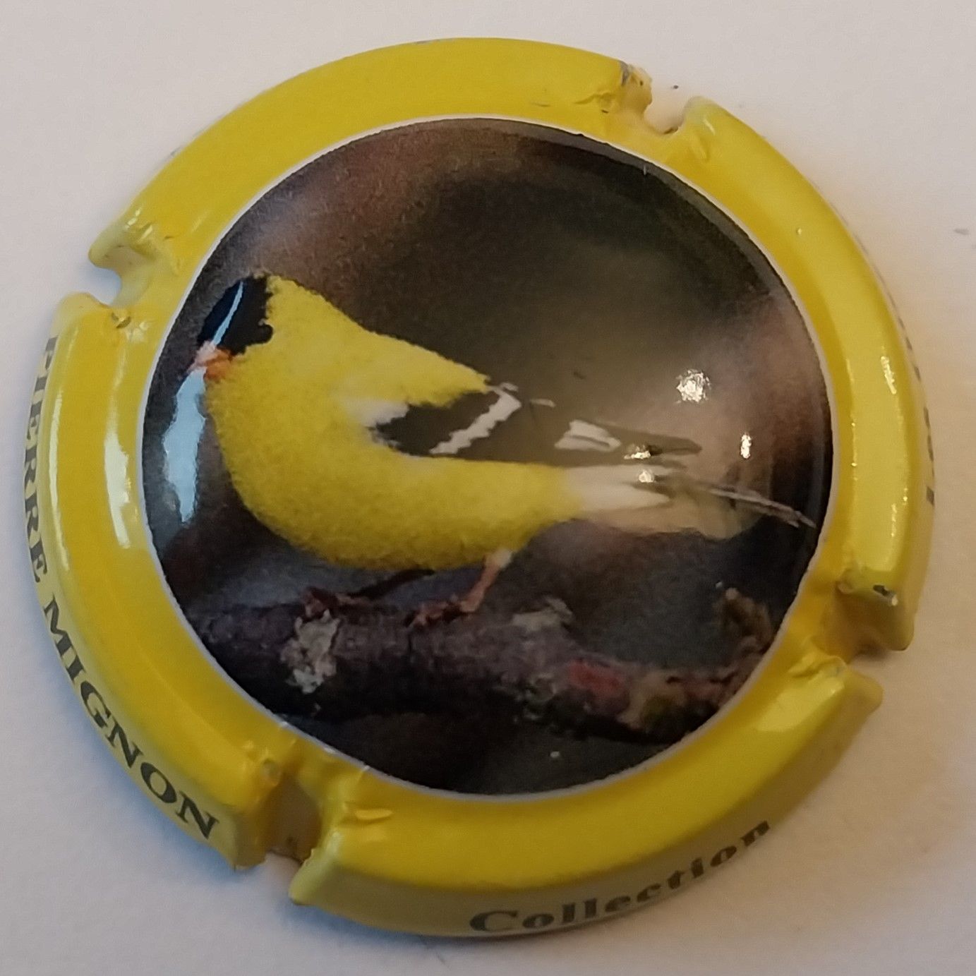BELLE CAPSULE CHAMPAGNE PIERRE MIGNON OISEAUX REF N°264d NEWS