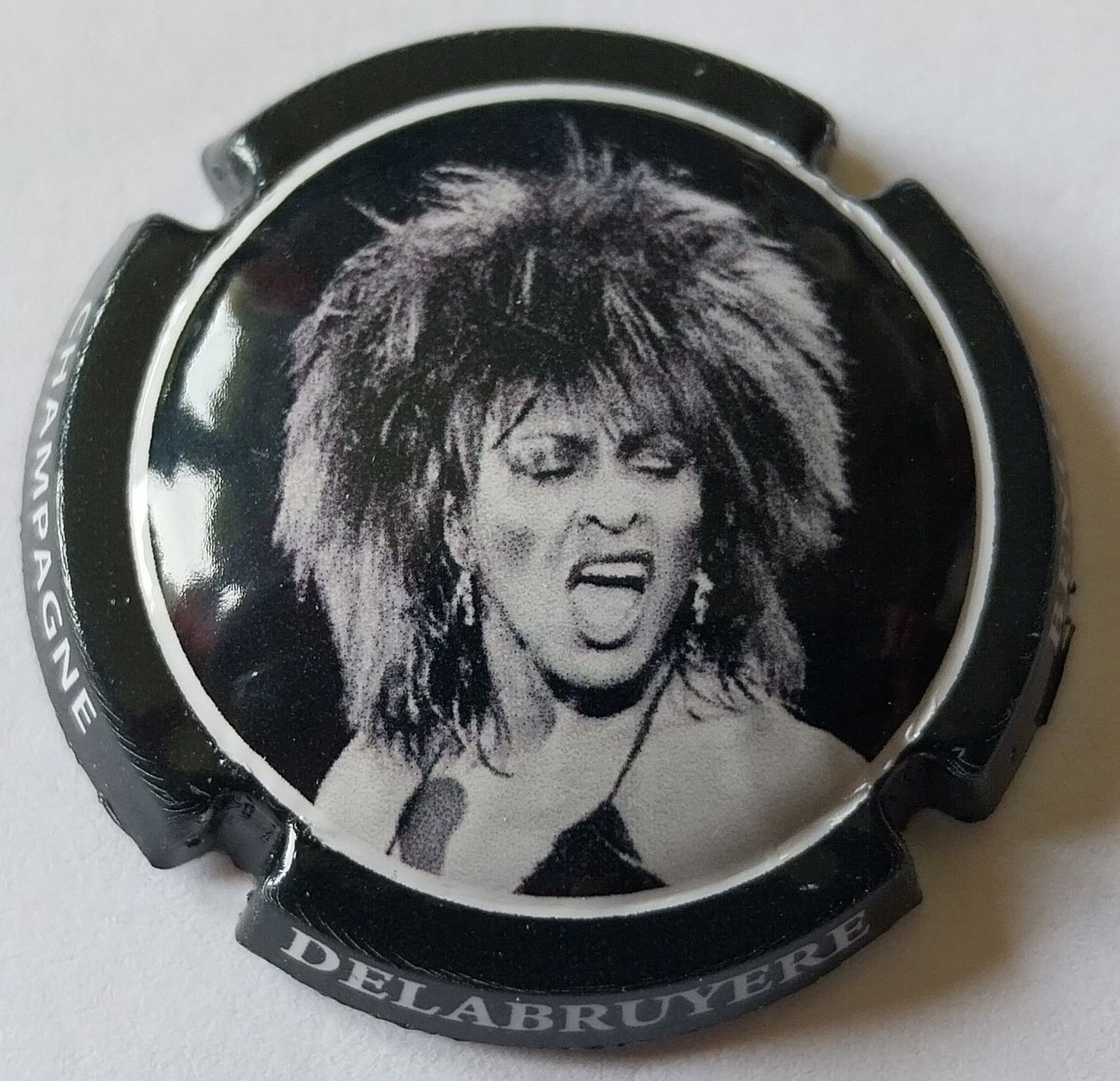 JÉROBOAM DELABRUYERE BENOIT TINA TURNER 2024 REF N°31g NEWS