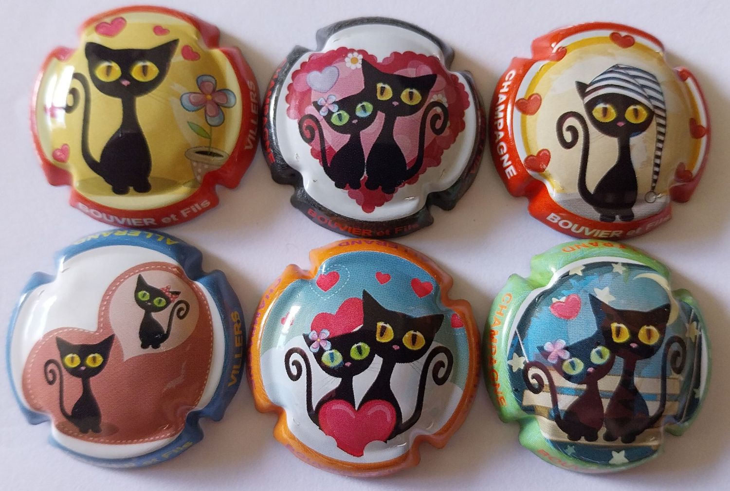6 BELLES CAPSULES CHAMPAGNE BOUVIER ET FILS CHATS REF N° 10 a 10e NEWS