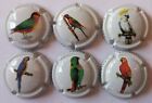 6 BELLES CAPSULES CHAMPAGNE GAILLARD JEROME PERROQUETS REF N° 8 a 8e NEWS