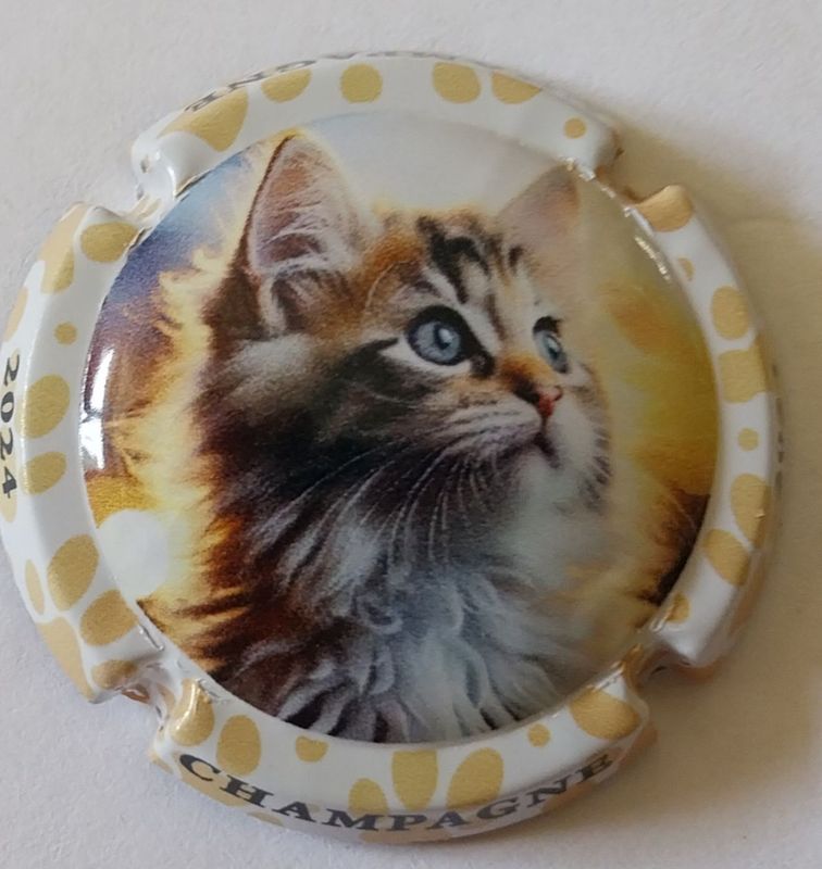 JEROBOAM CHAMPAGNE GÉNÉRIQUE CHAT 2024 REF N°1416f NEWS