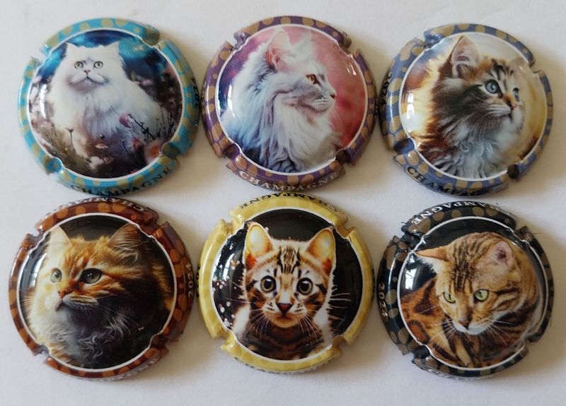 6 BELLES CAPSULES CHAMPAGNE GENERIQUE CHATS 2024 REF N°1416 a 1416e NEWS