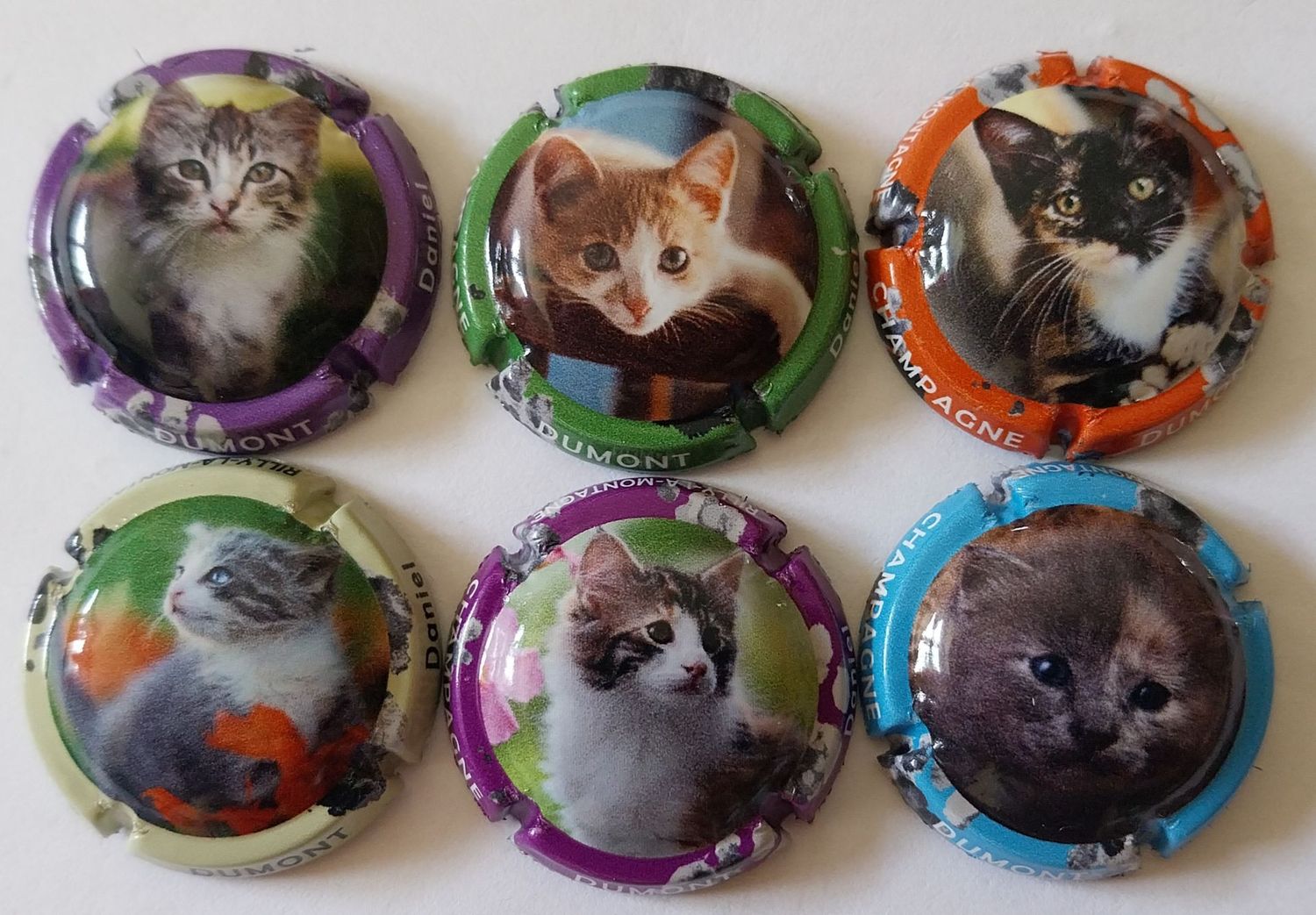 6 BELLES CAPSULES CHAMPAGNE DUMONT DANIEL LES CHATS 2024 REF N°19 a 19e NEWS