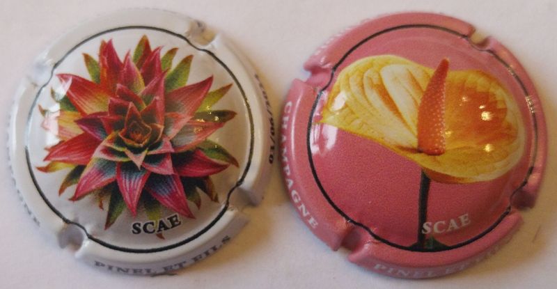 2 BELLES CAPSULES CHAMPAGNE PINEL & FILS FLEURS 2024 REF N°14h et 14i NEWS
