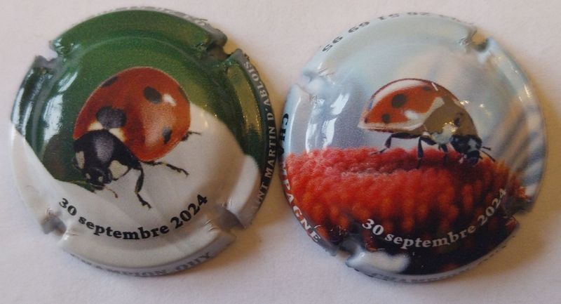 2 BELLES CAPSULES CHAMPAGNE CHAMPION OUY COCCINELLES 2024 REF N°34e/34f NEWS