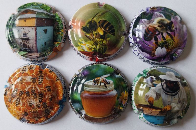 6 BELLES CAPSULES CHAMPAGNE PESSENET DIDIER LES ABEILLES REF N°76 a 76e NEWS