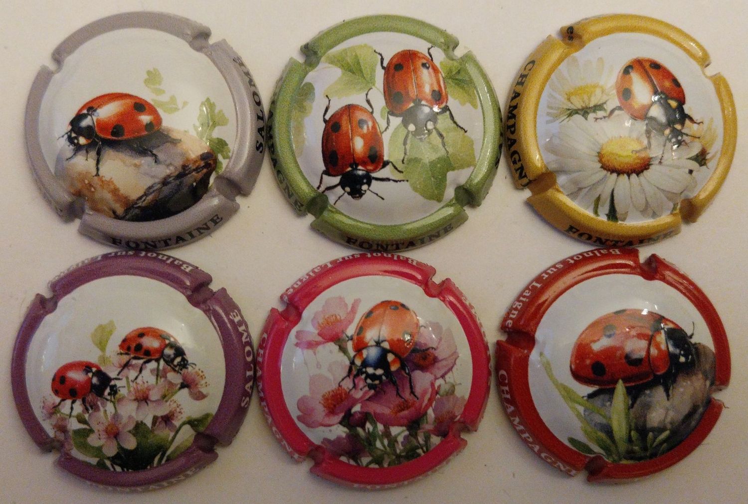 6 BELLES CAPSULES CHAMPAGNE FONTAINE SALOME COCCINELLE 2024 REF N° 12 a 12e NEWS