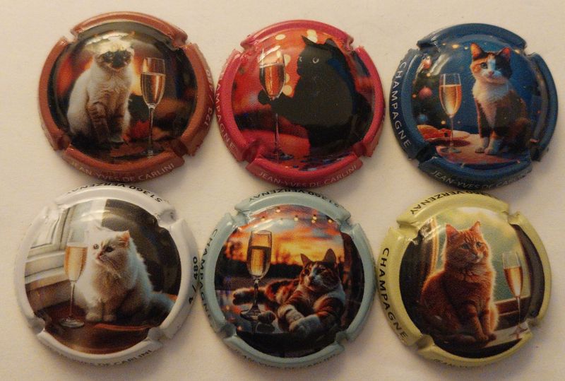 6 BELLES CAPSULES CHAMPAGNE DE CARLINI CHATS 480EX 2024 NEWS