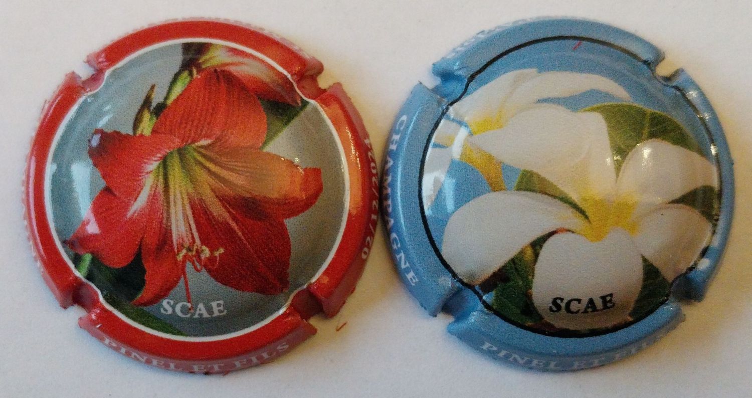 2 BELLES CAPSULES CHAMPAGNE PINEL & FILS FLEURS 2024 NEWS