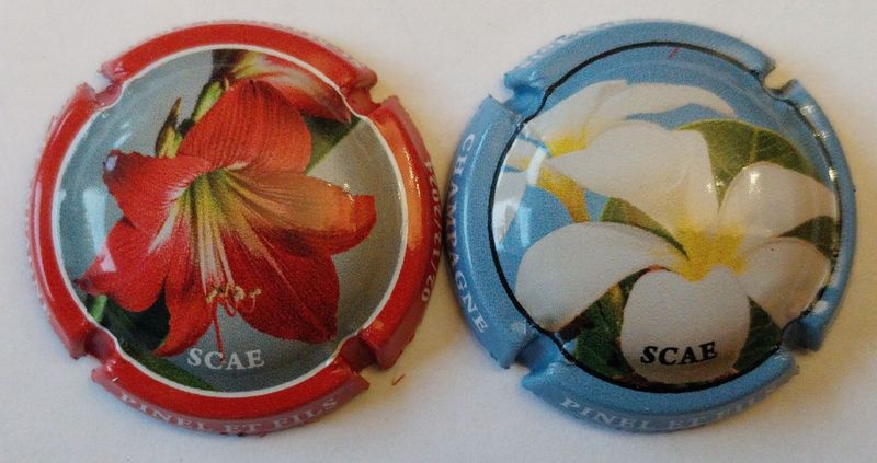2 BELLES CAPSULES CHAMPAGNE PINEL & FILS FLEURS 2024 NEWS