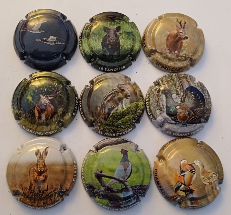 9 BELLES CAPSULES CHAMPAGNE GENERIQUE CUVEE CHASSE NEWS