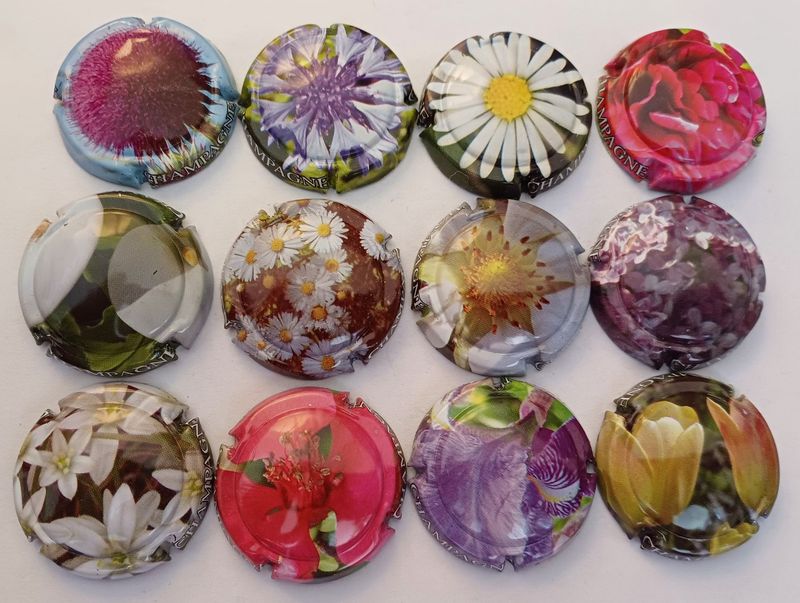 12 BELLES CAPSULES CHAMPAGNE GENERIQUE FLEUR REF N°638e a 648p  NEWS