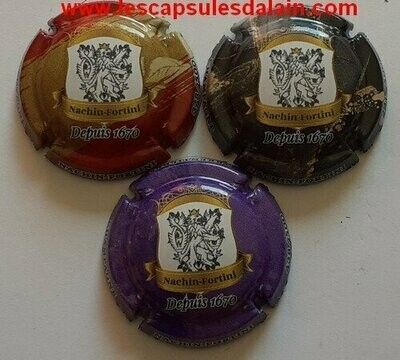 3 BELLES CAPSULES CHAMPAGNE NACHIN FORTINI NUMEROTE 500EX REF N°3 a 3b NEWS